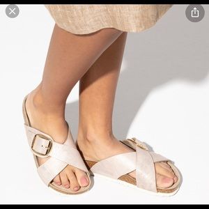 NEW Birkenstock Siena Big Buckle size 39